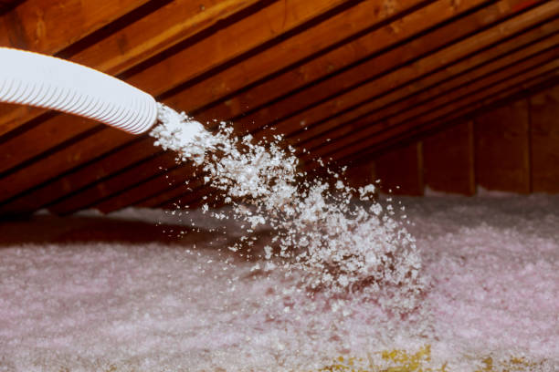Best Energy-efficient Insulation  in Dover, AR
