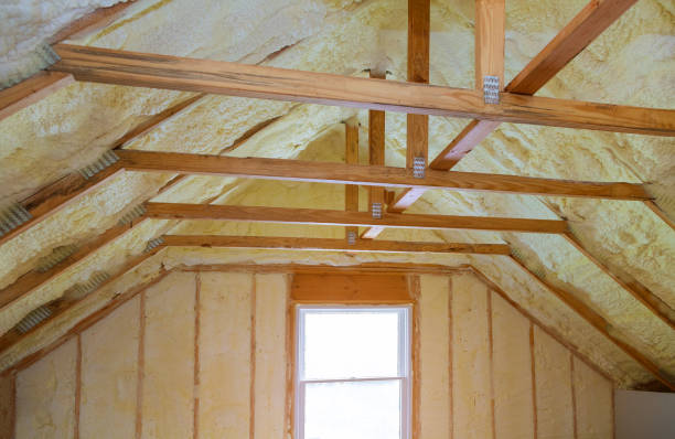 Best Local Insulation Services  in Dover, AR