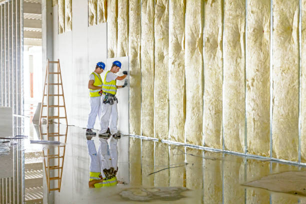 Best Best Insulation Companies  in Dover, AR